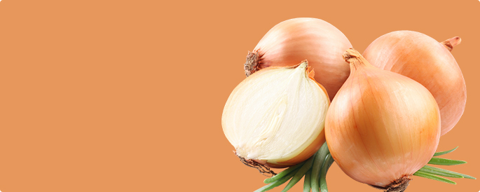 Cms-Banner2.jpg